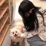 心动庄园2qq版下载